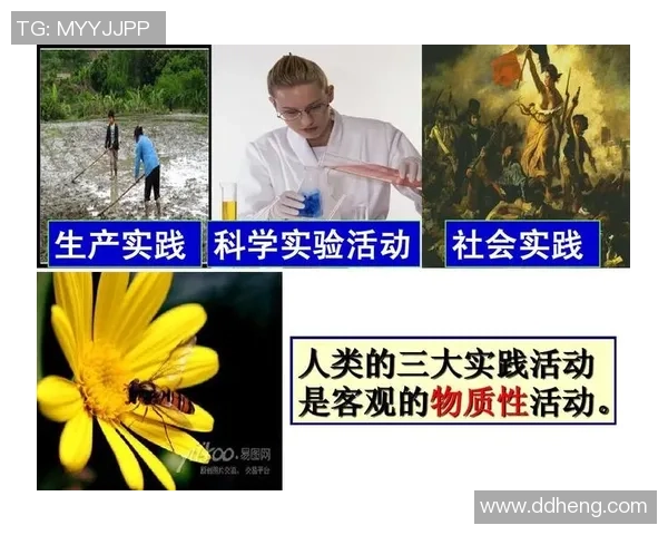 科学排球中的意识训练方法探究与实践技巧分享